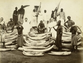 Ivory_1880s