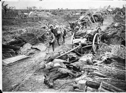 The death of the cart horse